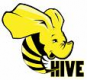 Hive Training in Kazakhstan