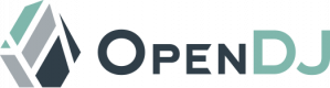OpenDJ Training in Kazakhstan
