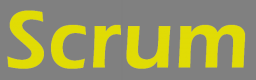 Scrum Training in Kazakhstan