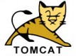 Tomcat Training in Kazakhstan