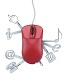 Web Services Training in Kazakhstan